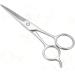 Beavorty Stainless Steel Scissors - Eyebrow & Beard Care Hairdressing Accessories - Buy Online on GoSupps.com