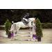 Intrepid International Red Metal Jump Cups - Durable Equestrian Equipment - Buy Online on GoSupps.com