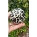 Natural Crystal Rough Home Decoration 50mm Natural Quartz Crystal Black Tourmaline and Quartz Ball Ground Crystal Reiki Stones - Buy Online on GoSupps.com