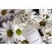Yves Rocher Secret d Essences Neroli Eau de Parfum 50 ml - Buy Online on GoSupps.com
