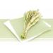 50 APARTina Light Lime Green Fabric-Like Airlaid Napkins - 40x40 cm Premium Quality | International Shipping - Buy Online on GoSupps.com