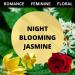 Night Blooming Jasmine Scented Body Spray 4 Oz (2 Pack) - Buy Online on GoSupps.com