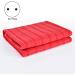 Jisapmzu Electric Blanket - Individual Heating & Constant Temperature | EU Plug - Ideal for Cozy Comfort - Buy Online on GoSupps.com