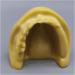 Fhuili Teeth Implant Model - Realistic Dental Simulation for Practice & Education | Lower Half Teeth Demonstration Model - Buy Online on GoSupps.com