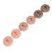 3 Pairs Soft Silicone Ear Model, Acrylic Stand, Human Ear Model for Piercing Practice, Earring Display, Silicone Human Ear Model - Buy Online on GoSupps.com