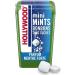 Hollywood Mini Mints Candy Without Sugar Strong Mint 12.5 g Pack of 4 - Buy Online on GoSupps.com