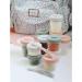 Beaba 12 Storage Pots & 2 Silicone Spoons Set Eucalyptus 100% Airtight | Interlocking Stackable | Freezable | Breast Milk | 2x90ml +4x150ml +6x250ml - Buy Online on GoSupps.com