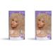 SoftSheen-Carson Interbeauty Dark and Lovely Uplift Bleaching Kit for Blonde Hair Includes Bleach Powder Developer and Toner Pack of 2