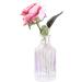 Vasana 250ml Clear Glass Diffuser Bottles - Refillable Fragrance Accessories for Essential Oils & DIY Craft Projects - Buy Online on GoSupps.com