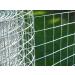 4wire Welded Wire Mesh 4ft 2" Holes 16G 30 Meters Strong Dog/Fox Mesh - Buy Online on GoSupps.com
