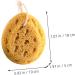 2pcs Honeycomb Bath Sponge Set | Exfoliating Shower Scrubber & Body Wash Supplies - International Shipping Available - Buy Online on GoSupps.com