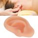Silicone Left Ear Acupuncture Practice Model - Professional Massage Teaching Tool - Buy Online on GoSupps.com