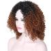 Curly Hair Wigs for Black Women | Natural Kinky Curly Afro Lace Front Wigs | Short Fluffy Wavy Human & Synthetic Options - Buy Online on GoSupps.com
