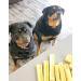 Himalayan Yak Cheese Dog Chew - Himalayan Dog Chew - *(Jumbo Bulk 4 Count)* - (Small-M-L-XL-Jumbo) - Cheese Bones for Dogs - Natural - Long Lasting Dog Treats for Aggressive Chewers - Buy Online on GoSupps.com