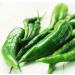 Portal Cool Chilli Seeds 30 Seeds Claw Shape Capsicum Frutescens Paprike Vegetables C077 - Buy Online on GoSupps.com