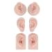 Human Ear Model with 3 Pairs Earring Elastic Bands for Piercing Practice - Light Skin Color - Buy Online on GoSupps.com