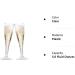 30 Pack 5 Oz Disposable Plastic Champagne Flutes - Clear Toasting Glasses for Wedding Party - Cocktail Mimosa Plastic Cups - Buy Online on GoSupps.com