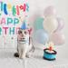 Shop Blue Pet Cat & Dog Scarves Birthday Hats & Costumes | Perfect Pet Birthday Party Decorations - Buy Online on GoSupps.com