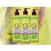  Garnier Garnier Fructis Leave-in Cream for Curly or Wavy Hair with Fruit Pectin and Pistachio Oil Nourishes & Defines Your Curls Without Hairdryer Pack of 3 x 400ml - Buy Online on GoSupps.com