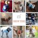 ABRRO Christmas Dog Sweater - Warm & Cozy Pet Sweater for Small to XXL Dogs | Snowman Design - Buy Online on GoSupps.com