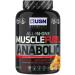 USN Muscle Fuel Anabolic Strawberry Mass Gain 2kg - Buy Online on GoSupps.com