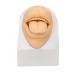 2pcs Silicone Tongue Mouth Model for Piercing Practice - 3D Design with Acrylic Stand | International Shipping - Buy Online on GoSupps.com