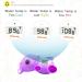 Baby Bath Thermometer | Doli Yearning Hippo | BPA Free | Kids Bathroom Safety & Floating Toy - Buy Online on GoSupps.com