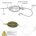 Carp Fishing Method Feeders Set - 4 Inline Method Feeders with Quick Release - 15g/24g/34g/40g - Buy Online on GoSupps.com