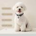 Whoseid QR Code Cat Collar - Customizable Pet Profiles & Emergency Alerts for Medium to Large Breeds | Scan for Immediate Location Notifications - GetaWay Solids - Buy Online on GoSupps.com