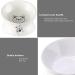 Elevated Tilted Ceramic Cat Bowl for Food & Water - Anti-Vomiting, Reduce Neck Strain - White - Buy Online on GoSupps.com