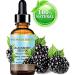 100% Pure Blackberry Seed Oil - Virgin Unrefined Cold Pressed Carrier Oil for Face Skin Hair | 0.5 Fl. oz - Buy Online on GoSupps.com