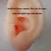 Soft Silicone Human Ear Simulation Model Learning Accessory for Ear Extraction of The Hearing Conduit Suitable for Visual Extraction Practice - Buy Online on GoSupps.com
