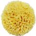 FIOERDTUIE Multi-functional Natural Sea Sponge Wide Application Easy To Clean Super Soft Natural Sea Sponges For Bathing - Buy Online on GoSupps.com