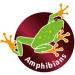 Hobby 38014 Reptix First Aid Pest Spray D/GB Charge: 176200 MHD: 03/2019 1 count (Pack of 1) - Buy Online on GoSupps.com