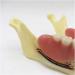 Zapion Dental Implant Model - Anatomical Lower Jaw Study Model for Overdentures & Teaching - Buy Online on GoSupps.com