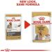 Buy Royal Canin Mini Yorkshire Dog Food - 1 x 1.02 kg Pack | International Shipping Available - Buy Online on GoSupps.com