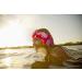 Waterproof Swimming Headband - Rose Medium - Ear Guard for Babies to Adults - Prevent Swimmer's Ears - Elastic Swim Hair Guard - Includes Earplugs - Pack of 1 - Buy Online on GoSupps.com