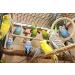 Bubimex Bird Cage Sand - Premium Quality for Clean and Healthy Birds - Buy Online on GoSupps.com