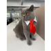 4 Pieces Pets Dog Cat Bowtie Pet Costume Adjustable Formal Necktie Collar for Cats Small Dogs Puppy Grooming Accessories (Black/red) - Buy Online on GoSupps.com