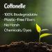 Cottonelle Fresh Flushable Moist Wipes 42 Count (Pack of 3) with Aloe Vera and Vitamin E - Buy Online on GoSupps.com