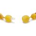 Amber Collar for Dogs & Cats | Tick Protection Necklace - 20cm & 21cm Size - Buy Online on GoSupps.com