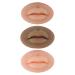 3Pcs Fake Lips,3D Silicone Lips for Makeup Practice,Soft Silicone Fake Lips Tattoo Practice Skins Training for Permanent Makeup Tattoo Practice 3Pcs Mixed Color