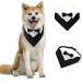 Dongker Dog Smoking Bandana Collar | Adjustable Wedding & Halloween Costumes for Small Medium Large Dogs | International Shipping - Buy Online on GoSupps.com