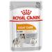 ROYAL CANIN Coat Care Mousse | Pack of 4 | 4 x 12 x 85 g | Wet Dog Food | for Dogs from 10 Months | Formula for Dogs with Dull and Dry Coats - Buy Online on GoSupps.com