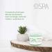 BCL SPA Lemongrass & Green Tea 4-Step Skincare Starter Kit 16oz Each Organic Vegan Spa Set for Hands Feet & Body Hydrates Exfoliates Softens Skin - Buy Online on GoSupps.com