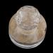 GZYF Press Stamp for DIY Foundation Blush Replace Accessories for Women Clear 2.5x3cm - Buy Online on GoSupps.com
