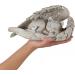 NEWDREAM Pet Memorial Statue - Indoor Angel Decorations for Dogs and Cats - Angel Wing Figurine Pet Grave Marker in Light Grey - Buy Online on GoSupps.com