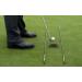 Premium Golf Alignment Sticks Training Aid - Set of 3 Sticks - Buy Online on GoSupps.com