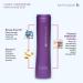 Avoka Naturals Satinique 2-in-1 Shampoo & Conditioner 250ml | Hydrating Hair Care - Buy Online on GoSupps.com