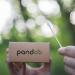 Buy Pandoo 4 Pack Plastic-Free Bamboo Cotton Swabs | 800 Biodegradable & Vegan | Eco-Friendly Alternative to Plastic & Paper Cotton Swabs - Buy Online on GoSupps.com